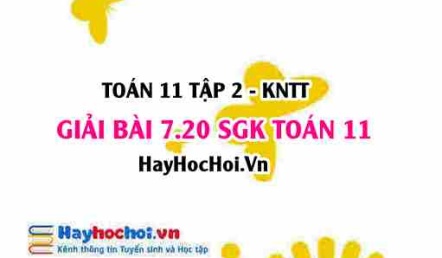 Bài 7.20 SGK Toán 11 Tập 2 Kết nối tri thức